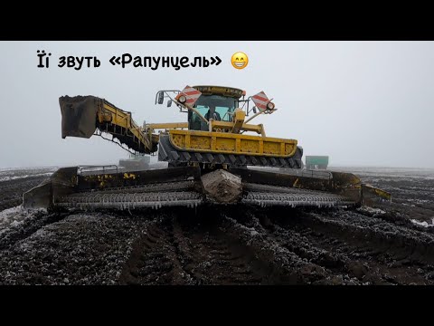 Видео: Рапунцель. Подвійна перегрузка кагатів з буряком. #claas #ropa #хтз