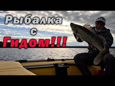 Видео: ВЫ САМИ ЭТОГО ПРОСИЛИ!!! ЛОВЛЯ ТРОФЕЙНОГО СУДАКА!!!