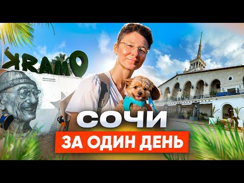 Видео: Сочи 2024: куда сходить, что поесть. Роза Хутор и Адлер. Море, горы и приключения.