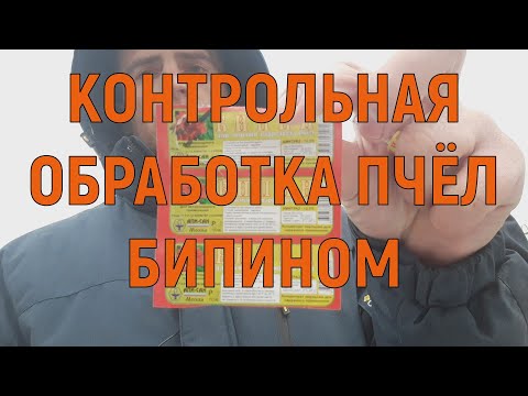 Видео: Контрольная обработка пчел от клеща бипином