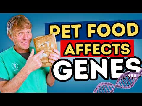 Видео: Шокирующая связь между диетой и генами вашего питомца!