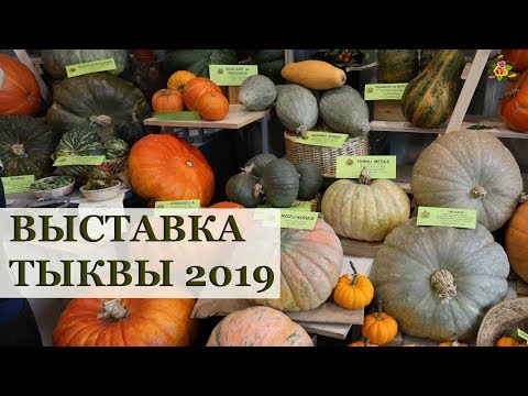 Видео: ТЫКВЫ белые, черные, голубые... / ВЫСТАВКА ТЫКВЫ в Риге / Клуб Томат