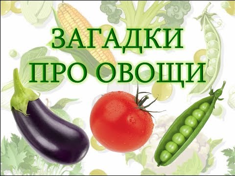 Видео: Загадки для детей про овощи с ответами. Про овощи для детей. Загадки