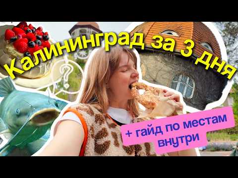 Видео: Калининград за 3 Дня: Что посмотреть, Где погулять и Поесть, маршрут 2025