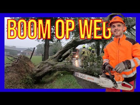 Видео: Упавшее дерево перекрыло дорогу – ДОБРОВОЛЬЦЫ ГОЛЛАНДСКИЕ ПОЖАРНЫЕ –