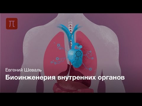 Видео: Пресс-лекция | Биоинженерия внутренних органов