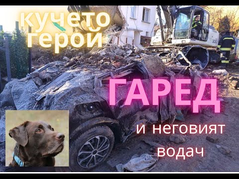 Видео: Кучето герой Гаред. Какво точно се случи? Трудна ли е работата на кучето в пожарната? Част втора.