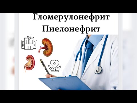 Видео: ГЛОМЕРУЛОНЕФРИТ | ПИЕЛОНЕФРИТ