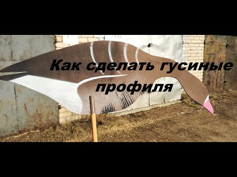 Видео: Как сделать гусиные профиля