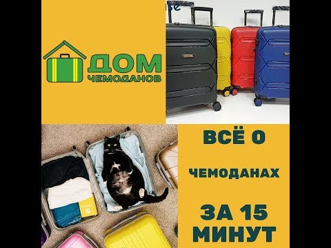 Видео: Всё о чемоданах за 15 минут!Обзоры всех типов чемоданов от Дома чемоданов!