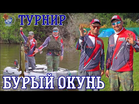 Видео: Турнир "Бурый окунь"/Впервые на PRO турнире/Какие результаты даёт PANOPTIX/#teamправильнаяподсечка