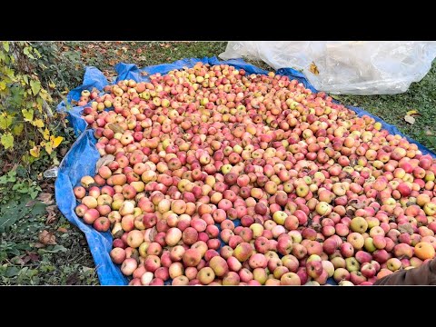 Видео: QUBA.Qeçreş.ГУБА-Гечреш.Природа