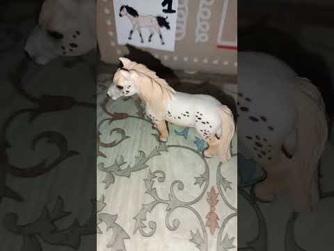 Видео: #лошади #фигурки #животныешляйх #schleich