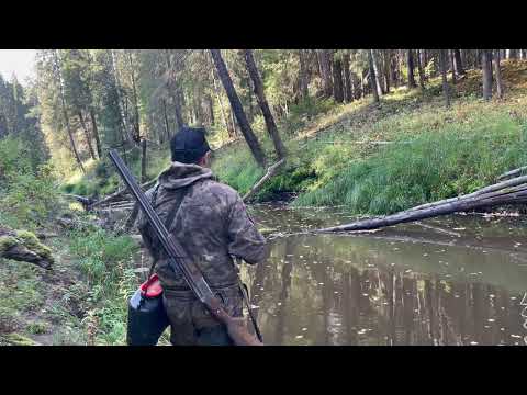 Видео: Далекий поход  на ручей за крупным Хариусом!!! Такой рыбалки я еще не видел!!!