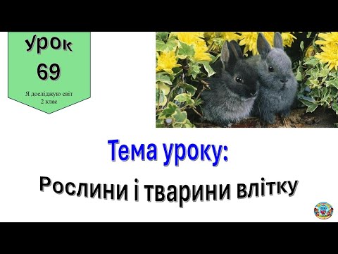 Видео: Рослини і тварини влітку. Я досліджую світ 2 клас