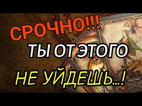 Видео: #ТАРО. 🌿О ЧЕМ ХОТЯТ СКАЗАТЬ ВАМ ВЫСШИЕ СИЛЫ❗️❗️❗️