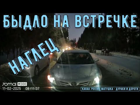 Видео: Быдло на встречке #190! Подборка на видеорегистратор!
