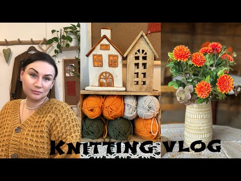 Видео: Vlog 144 / Новый МК, носки с медведями и твидовый кардиган🌲#вязальныйвлог #северноевязание #жаккард 