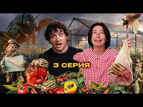 Видео: СЕЛЬСКИЙ ХОРРОР: ПУГАЛО / ЖЕСТОКОЕ НАПАДЕНИЕ/ ЛОВУШКИ / ЧЕГЕРЯ серия 3