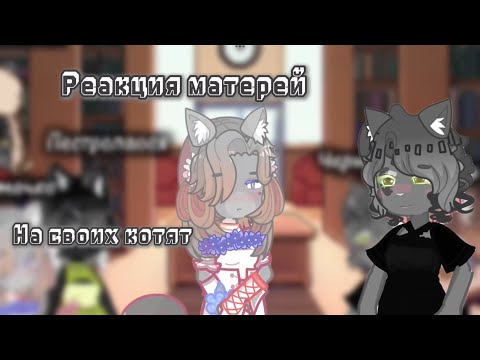 Видео: Реакция матерей на будущее котят/Коты воители/ 2 часть.(Чит.Опис)