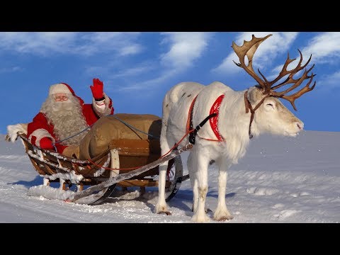 Видео: Санта-Клаус для детей 🦌🎅 Лучшие прогулки на оленях в Лапландии