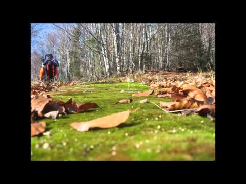 Видео: симпатяги - иде есен