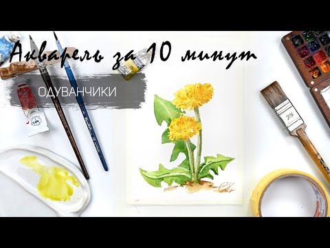 Видео: Рисуем одуванчики акварелью за 15 минут. Быстрые зарисовки. Акварель для новичков