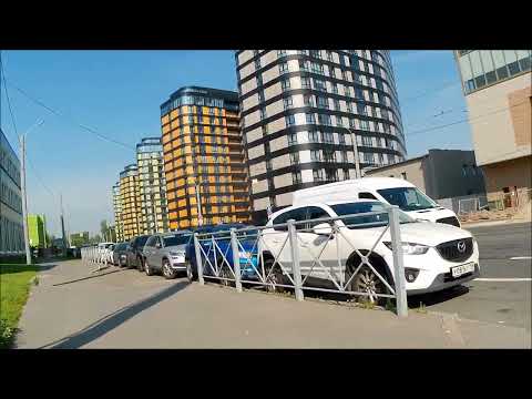 Видео: Хорошая погода в Питере.  30. 08. 2024.