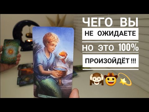 Видео: ЧЕГО ВЫ НЕ ОЖИДАЕТЕ 🙉 НО ЭТО 100% СЛУЧИТСЯ‼️ 😵🤠💫
