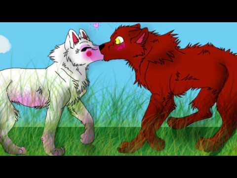 Видео: Мангл и Фокси. Песня ,,Мой котик"