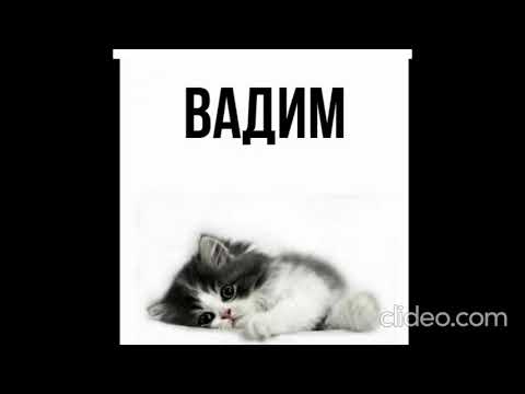 Видео: Вадим ( авторская песня, стихи Настя Бехтина, музыка ИИ, 2025 год )