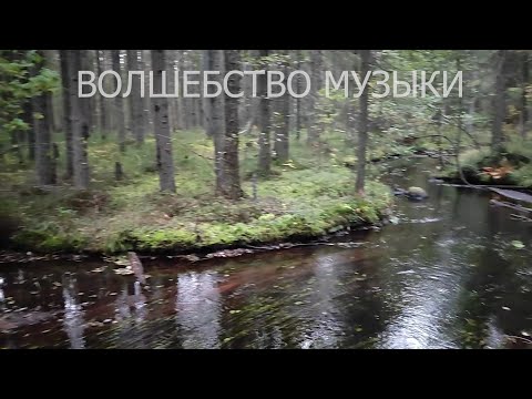 Видео: #_ВОЛШЕБСТВО МУЗЫКИ_2025.10.08_Беседы у костра с Игорем Угаровым