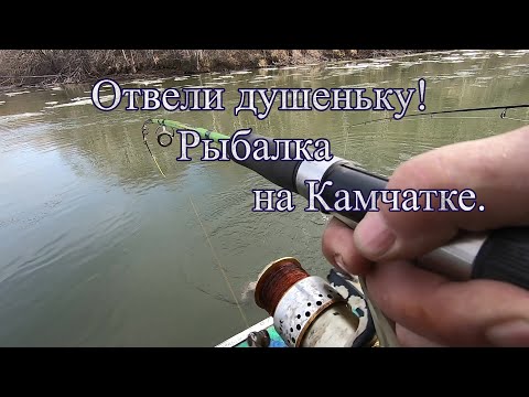 Видео: Вот это рыбалка! Камчатка - край заповедный!