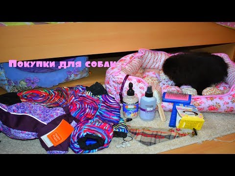 Видео: Покупки из зоомагазина для собак