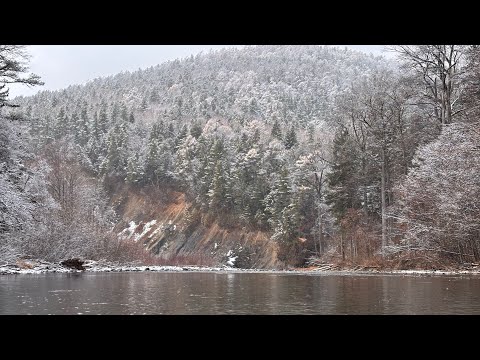 Видео: Кема. Попали на хороший клёв. Рыбалка на ленка и мальму. Север Приморского края. 31.10-02.11.25
