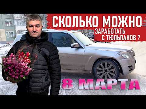 Видео: Сколько можно заработать на тюльпанах 8 марта? Личный опыт
