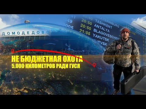 Видео: МЫ ПОЕХАЛИ В ЯКУТИЮ НА ГУСИНУЮ ОХОТУ. КАК ПРОВЕЗТИ РУЖЬЕ.И СКОЛЬКО СТОИТ ДОРОГА.