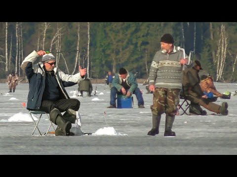 Видео: ЗА ТАКОЙ РЫБОЙ Я ГОТОВ ЕХАТЬ ХОТЬ НА КРАЙ СВЕТА. РЫБАЛКА НА БЕЗМОТЫЛКУ.