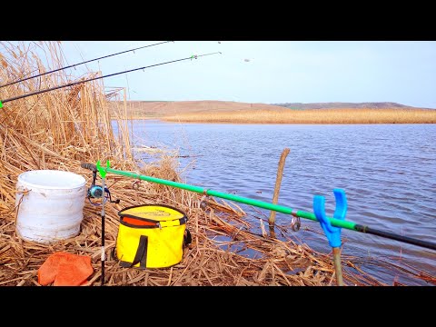 Видео: Рыбалка на донки. Активный клёв.