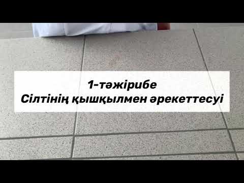 Видео: Зертханалық жұмыс 8 сынып негіздер