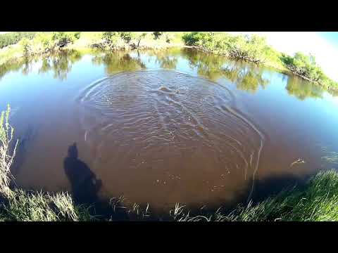 Видео: Хорошая рыбалка!  Поймал трофейного леща кастинговой сетью!