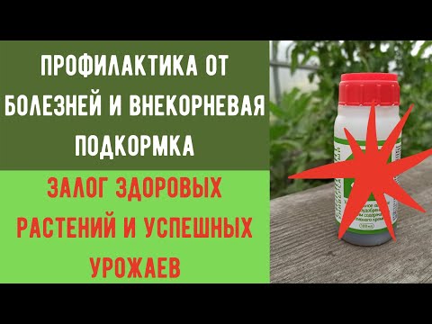 Видео: Две обработки и урожай обеспечен!