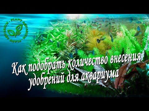 Видео: Как подобрать количество внесения удобрений для аквариума