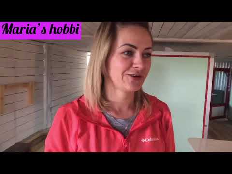 Видео: Работа, Инкубация, нюансы😉