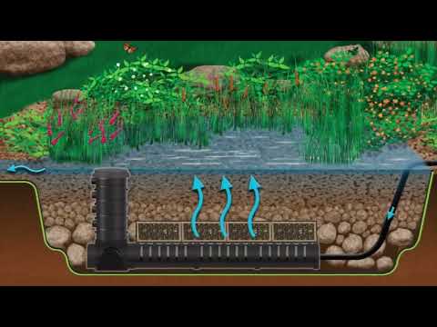 Видео: Пруд по американской технологии | ПРУД ПРУДИ