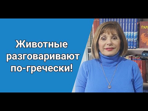 Видео: ГРЕЧЕСКИЙ С МАРИЕЙ КЕФАЛИДУ!  ЖИВОТНЫЕ РАЗГОВАРИВАЮТ ПО-ГРЕЧЕСКИ!