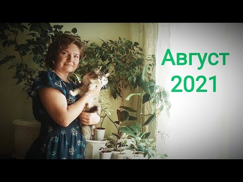 Видео: Комнатные цветы (август 2021)