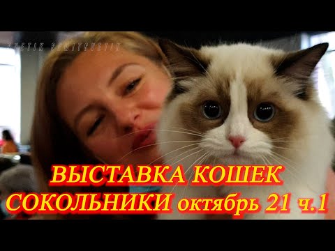 Видео: Москва.  Октябрь 2021.  Парк "Сокольники".  Выставка кошек.   Часть 1.