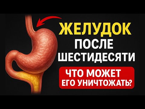 Видео: Молочка после шестидесяти — польза или катастрофа? Врач объясняет без паники