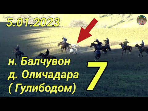 Видео: Бузкаши дар н Балчувон д Оличадара Гулибодом Кисми 7